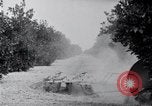 Image of Orange grove irrigation California United States USA, 1920, second 56 stock footage video 65675025651