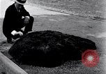 Image of Meteorite excavated in Dallas Dallas Texas USA, 1920, second 4 stock footage video 65675025654