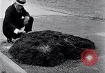 Image of Meteorite excavated in Dallas Dallas Texas USA, 1920, second 5 stock footage video 65675025654