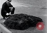 Image of Meteorite excavated in Dallas Dallas Texas USA, 1920, second 6 stock footage video 65675025654