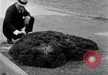 Image of Meteorite excavated in Dallas Dallas Texas USA, 1920, second 7 stock footage video 65675025654