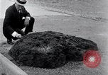 Image of Meteorite excavated in Dallas Dallas Texas USA, 1920, second 8 stock footage video 65675025654