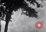 Image of Sierra Nevada California United States USA, 1920, second 29 stock footage video 65675025655