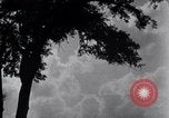 Image of Sierra Nevada California United States USA, 1920, second 34 stock footage video 65675025655