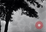 Image of Sierra Nevada California United States USA, 1920, second 37 stock footage video 65675025655