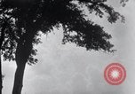 Image of Sierra Nevada California United States USA, 1920, second 38 stock footage video 65675025655