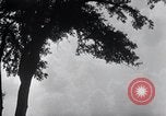 Image of Sierra Nevada California United States USA, 1920, second 42 stock footage video 65675025655