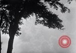 Image of Sierra Nevada California United States USA, 1920, second 43 stock footage video 65675025655
