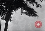 Image of Sierra Nevada California United States USA, 1920, second 44 stock footage video 65675025655