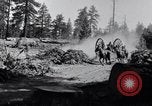 Image of large wheeled rig hauling cut logs United States USA, 1920, second 3 stock footage video 65675025658