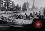 Image of large wheeled rig hauling cut logs United States USA, 1920, second 4 stock footage video 65675025658