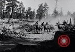 Image of large wheeled rig hauling cut logs United States USA, 1920, second 5 stock footage video 65675025658