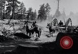 Image of large wheeled rig hauling cut logs United States USA, 1920, second 7 stock footage video 65675025658