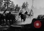 Image of large wheeled rig hauling cut logs United States USA, 1920, second 9 stock footage video 65675025658
