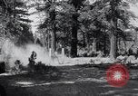 Image of large wheeled rig hauling cut logs United States USA, 1920, second 18 stock footage video 65675025658