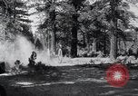 Image of large wheeled rig hauling cut logs United States USA, 1920, second 20 stock footage video 65675025658