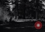 Image of large wheeled rig hauling cut logs United States USA, 1920, second 25 stock footage video 65675025658