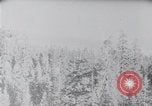 Immagine di Yosemite Valley California United States USA, 1920, secondo 20 filmato di repertorio 65675025663