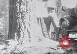 Image of Yosemite Valley California United States USA, 1920, second 1 stock footage video 65675025665