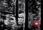 Image of Yosemite Valley California United States USA, 1920, second 16 stock footage video 65675025665