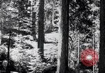 Image of Yosemite Valley California United States USA, 1920, second 17 stock footage video 65675025665