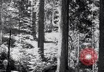 Image of Yosemite Valley California United States USA, 1920, second 21 stock footage video 65675025665