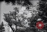 Standbild Yosemite Tal California United States USA, 1920, aus Sekunde 11 historischem Filmmaterial Videoclip 65675025666
