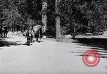 Standbild Yosemite Tal California United States USA, 1920, aus Sekunde 30 historischem Filmmaterial Videoclip 65675025666