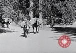 Standbild Yosemite Tal California United States USA, 1920, aus Sekunde 33 historischem Filmmaterial Videoclip 65675025666