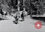 Standbild Yosemite Tal California United States USA, 1920, aus Sekunde 34 historischem Filmmaterial Videoclip 65675025666