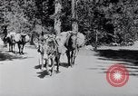 Standbild Yosemite Tal California United States USA, 1920, aus Sekunde 35 historischem Filmmaterial Videoclip 65675025666