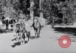 Standbild Yosemite Tal California United States USA, 1920, aus Sekunde 36 historischem Filmmaterial Videoclip 65675025666
