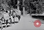 Standbild Yosemite Tal California United States USA, 1920, aus Sekunde 37 historischem Filmmaterial Videoclip 65675025666