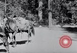 Standbild Yosemite Tal California United States USA, 1920, aus Sekunde 38 historischem Filmmaterial Videoclip 65675025666