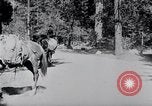 Standbild Yosemite Tal California United States USA, 1920, aus Sekunde 39 historischem Filmmaterial Videoclip 65675025666