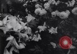 Immagine di Funerali di Arturo Toscanini New York United States USA, 1957, secondo 50 filmato di repertorio 65675025690