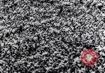 Image of Baseball quiz New York United States USA, 1945, second 62 stock footage video 65675025697