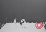 Standbild Tunney-Dempsey Kampf Chicago Illinois USA, 1927, aus Sekunde 25 historischem Filmmaterial Videoclip 65675025701