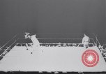 Standbild Tunney-Dempsey Kampf Chicago Illinois USA, 1927, aus Sekunde 38 historischem Filmmaterial Videoclip 65675025701