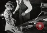 Immagine di Elliott Roosevelt wedding Burlington Iowa USA, 1933, secondo 61 filmato di repertorio 65675025706