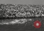 Image la natation et la plongée New York United States USA, 1933, de la seconde 19 séquences d'archives historiques vidéo 65675025708