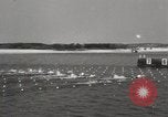 Image la natation et la plongée New York United States USA, 1933, de la seconde 37 séquences d'archives historiques vidéo 65675025708