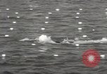 Image la natation et la plongée New York United States USA, 1933, de la seconde 40 séquences d'archives historiques vidéo 65675025708