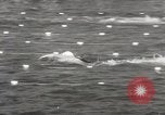 Image la natation et la plongée New York United States USA, 1933, de la seconde 42 séquences d'archives historiques vidéo 65675025708