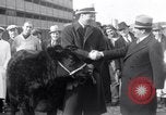 Immagine di Jack Dempsey New York United States USA, 1935, secondo 3 filmato di repertorio 65675025714
