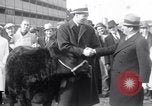 Immagine di Jack Dempsey New York United States USA, 1935, secondo 4 filmato di repertorio 65675025714