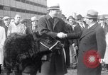 Immagine di Jack Dempsey New York United States USA, 1935, secondo 5 filmato di repertorio 65675025714