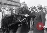 Immagine di Jack Dempsey New York United States USA, 1935, secondo 6 filmato di repertorio 65675025714