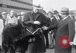 Immagine di Jack Dempsey New York United States USA, 1935, secondo 7 filmato di repertorio 65675025714