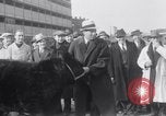 Immagine di Jack Dempsey New York United States USA, 1935, secondo 17 filmato di repertorio 65675025714